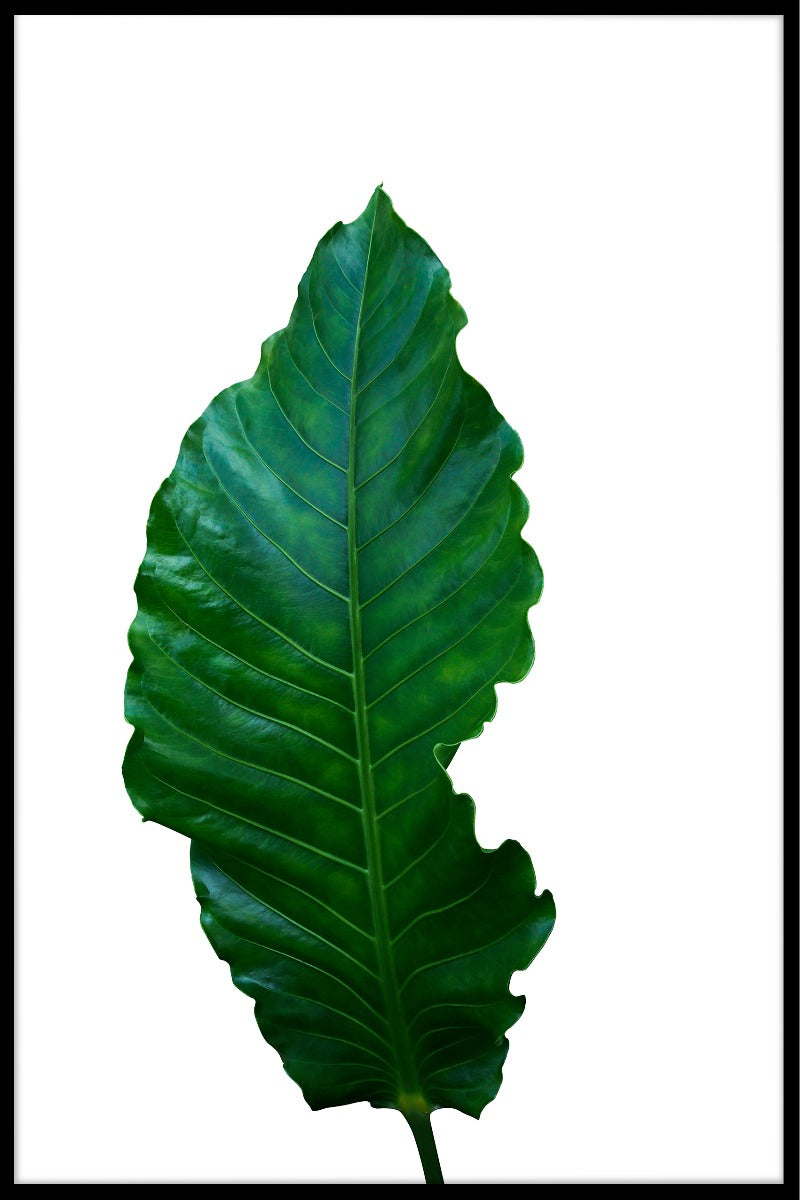 Gröna blad vit poster