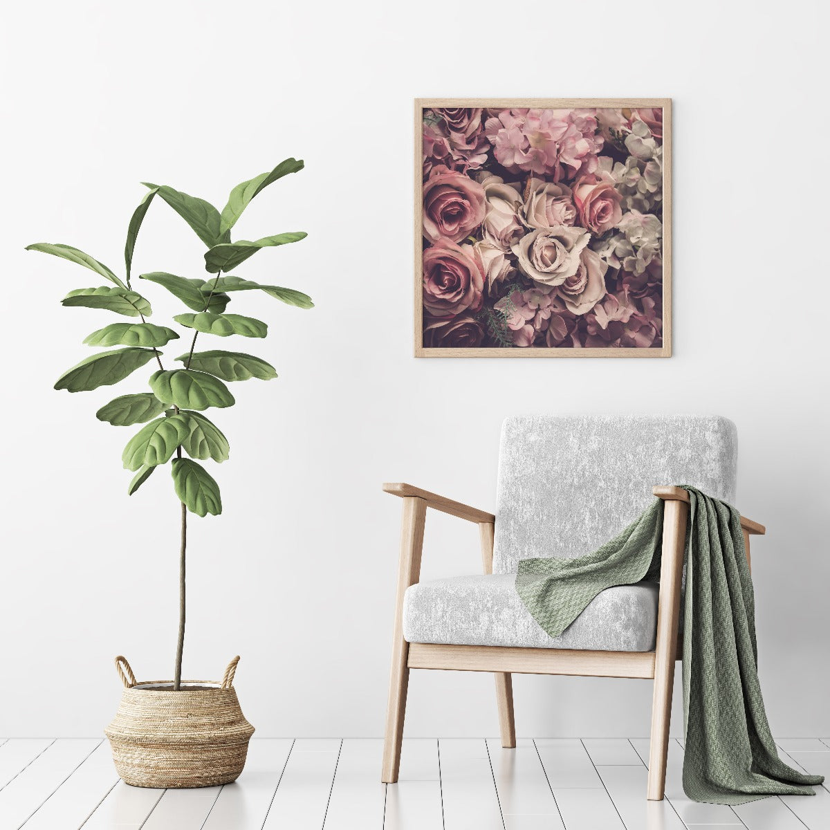 Rosa rosor poster