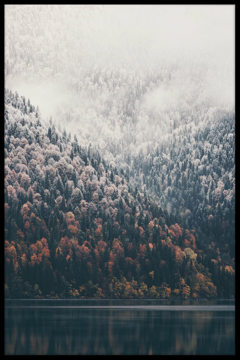 Dimmig Forest Lake poster