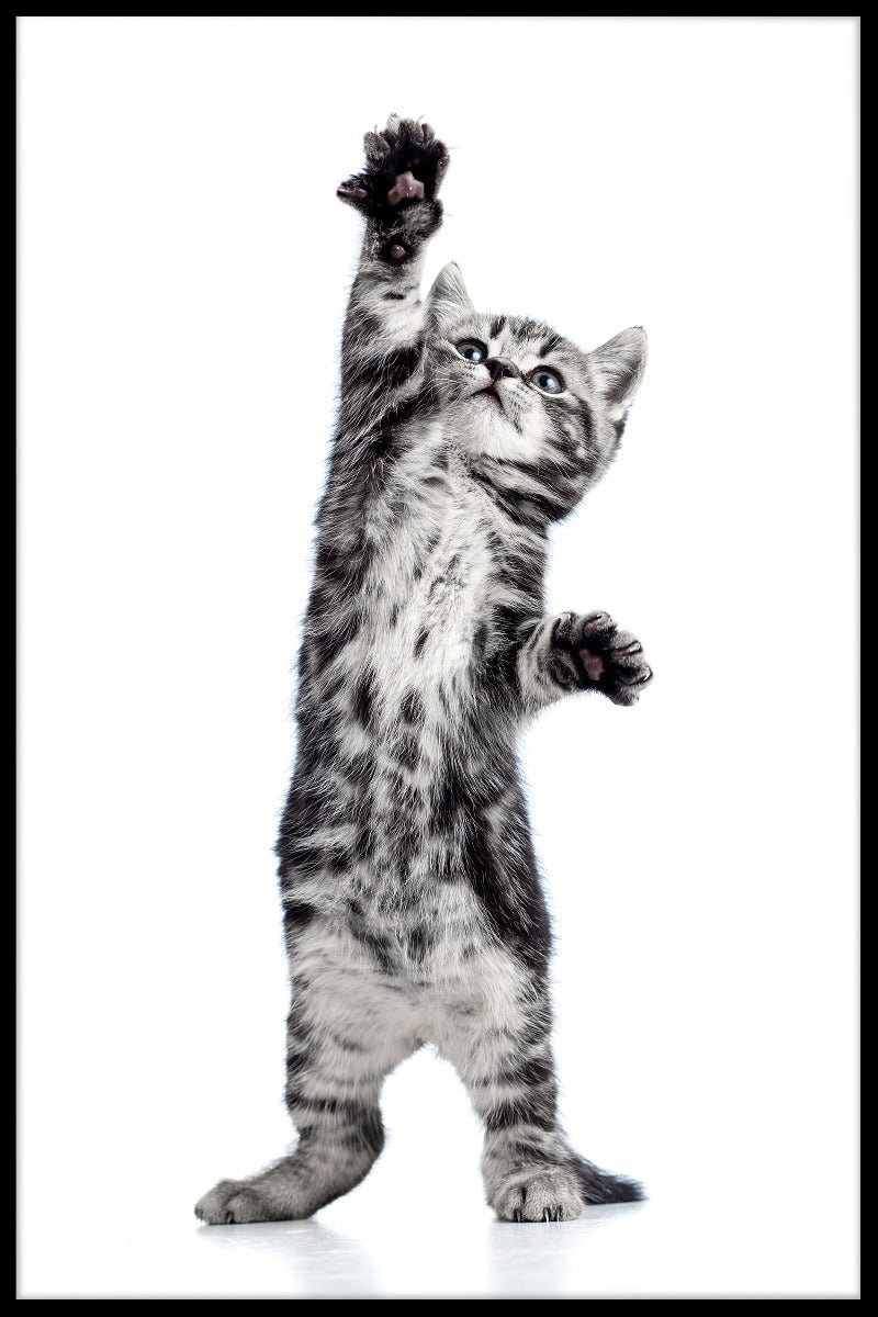 Lekfull kattungeposter
