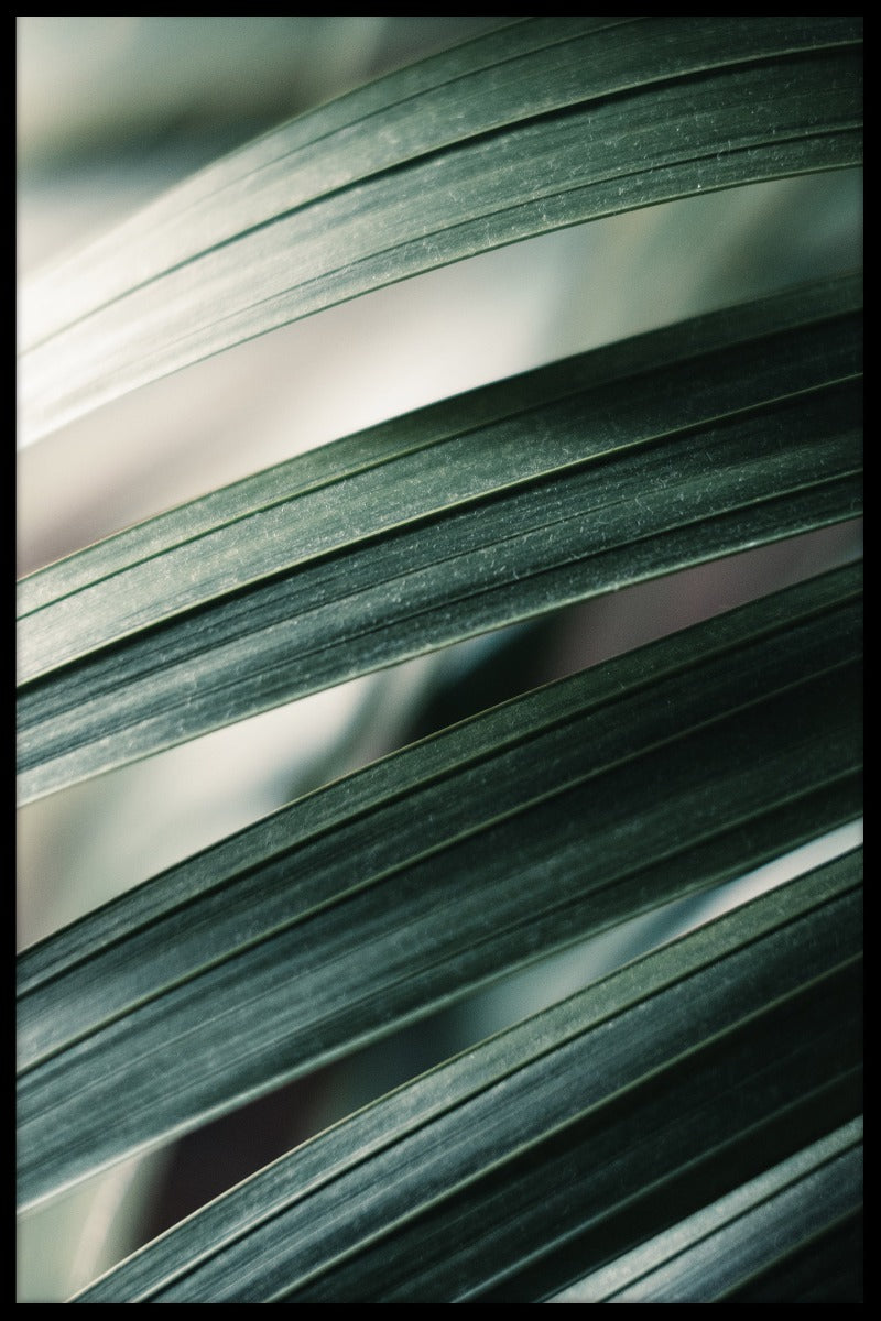 Tropiska löv poster