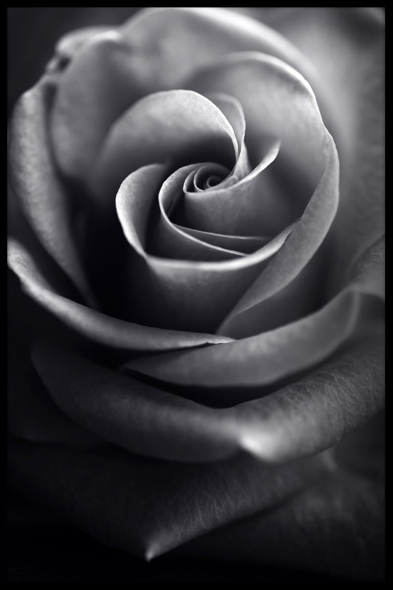 Makroblomma N03 poster