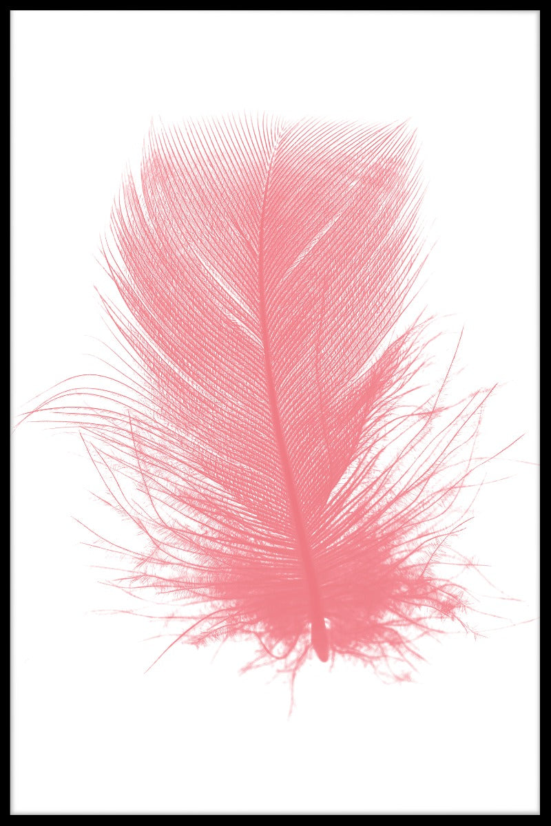 Rosa fjäderposter