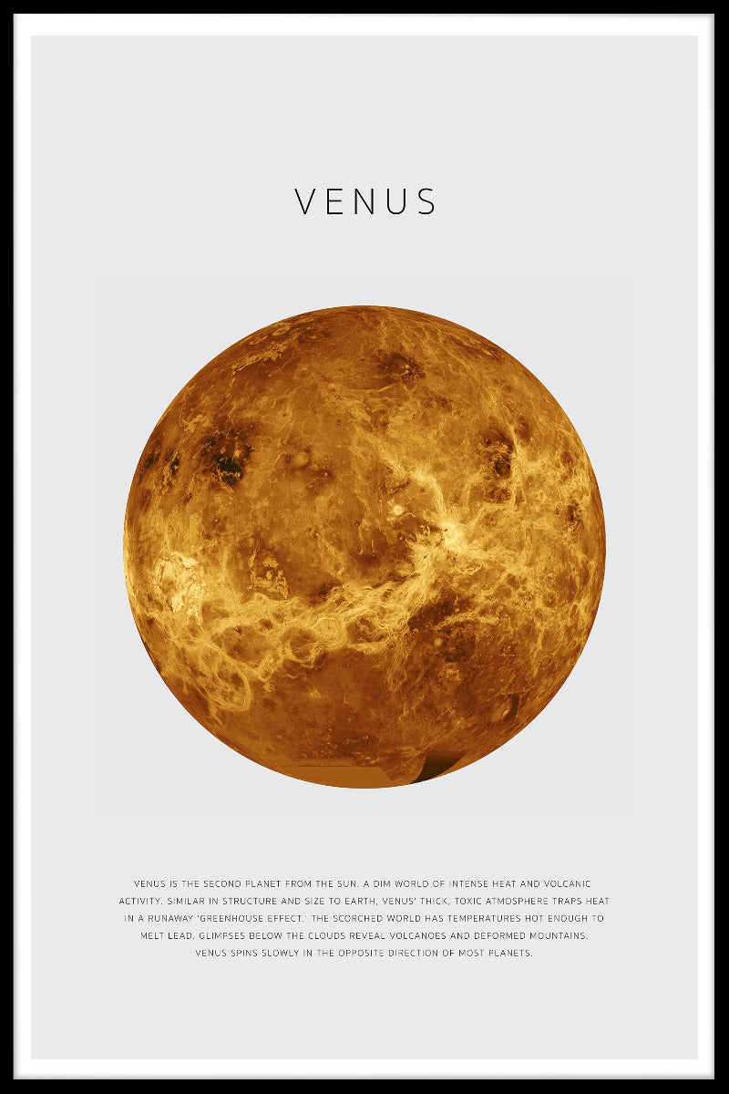 Venus poster