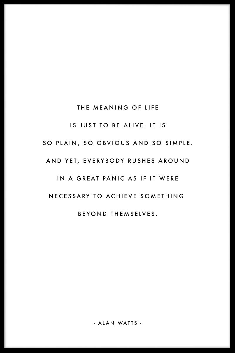 Livets mening poster