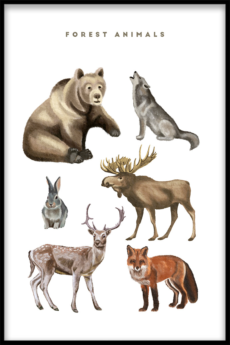 Skogsdjur Illustration poster
