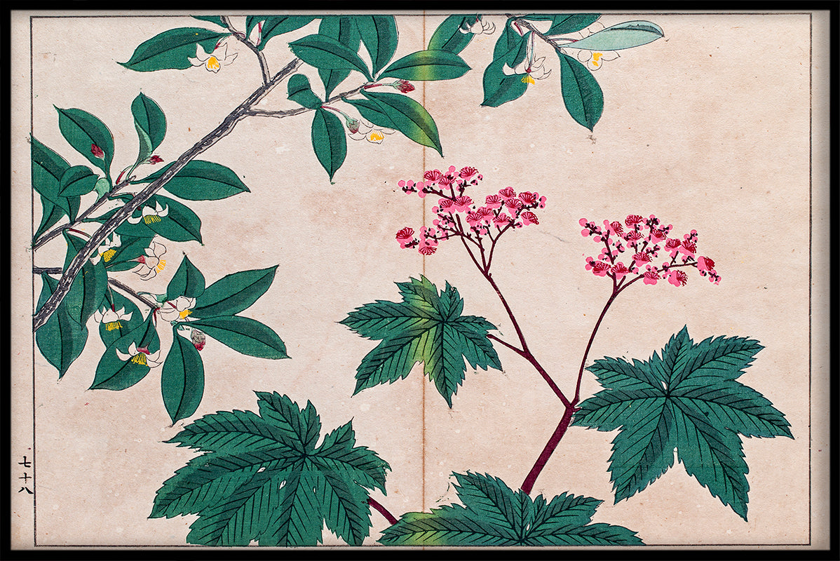 Japan Illustration N02 poster