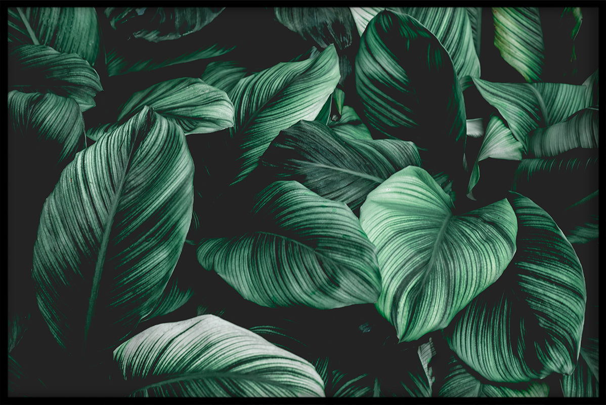 Exotiska växter N03 poster