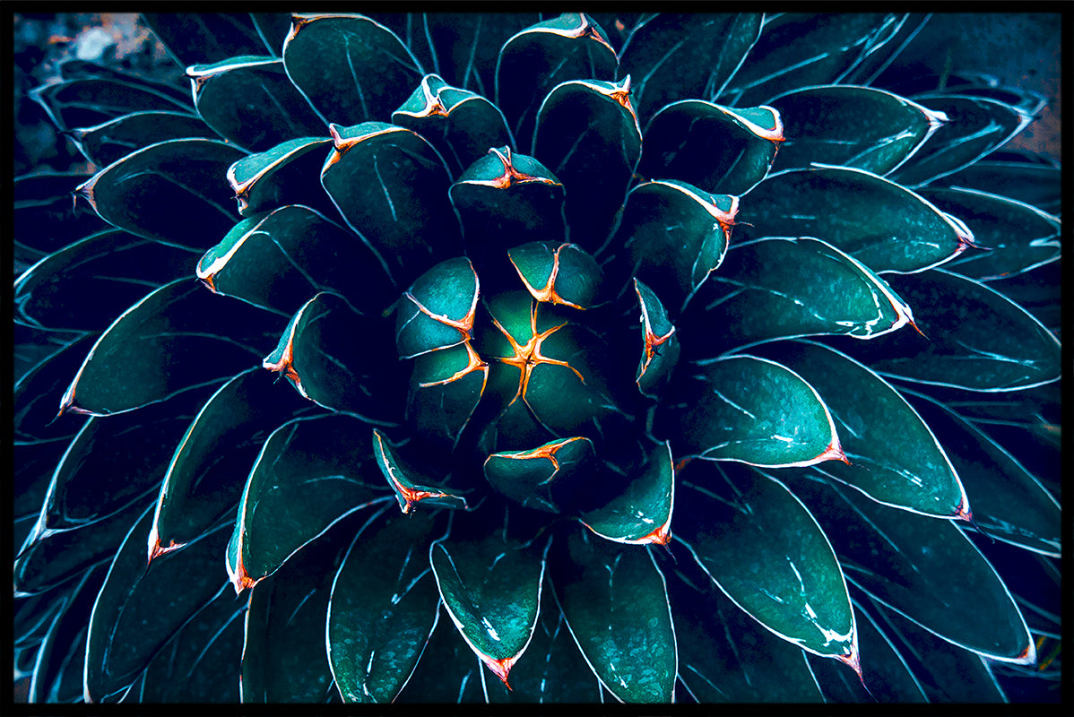 Exotiska växter N06 poster