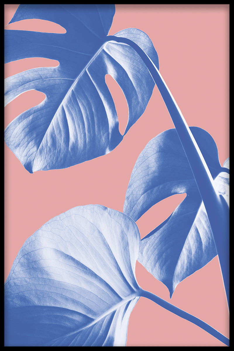 Abstrakt Monstera N05 poster