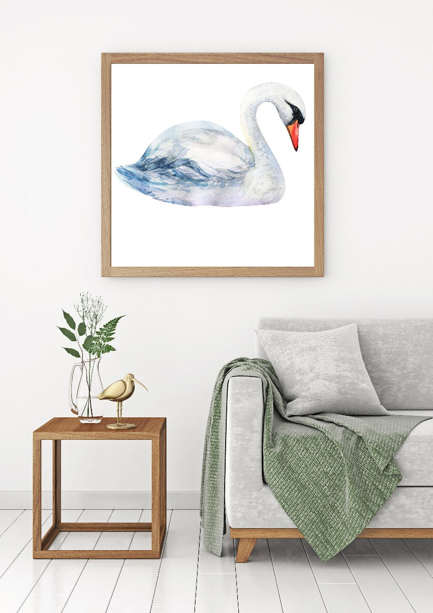 Swan Solo akvarell