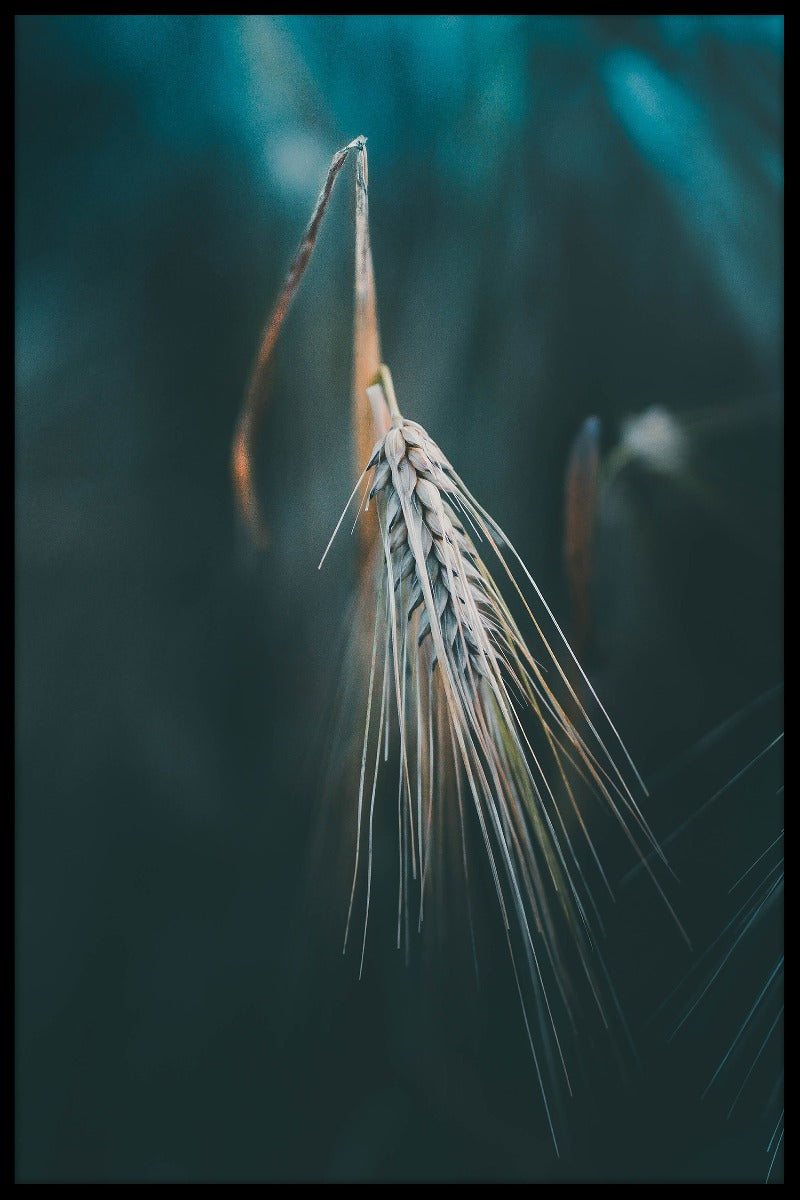 Fridsam höstnatur poster