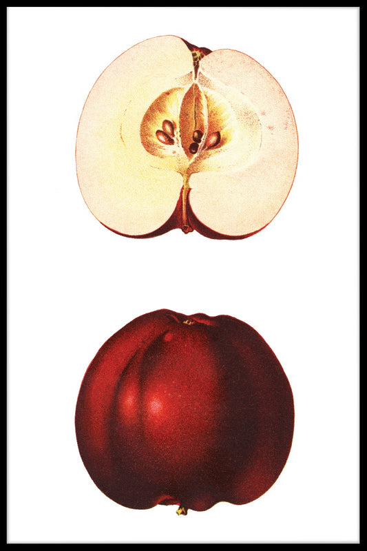 Röd Apple poster