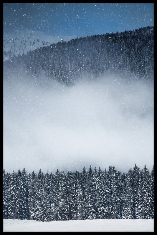 Vintern Visa skog poster