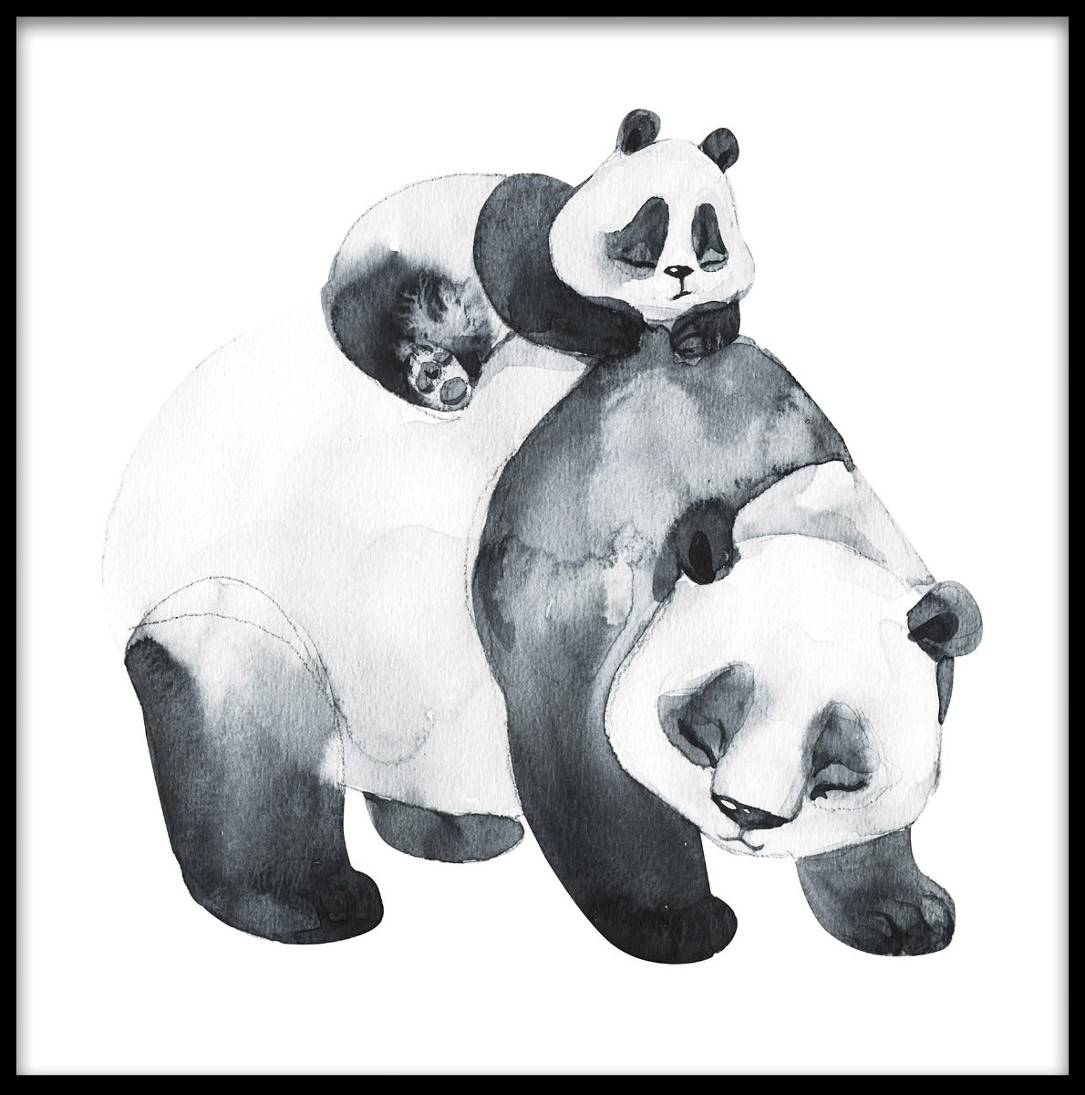 Panda familj akvarell poster