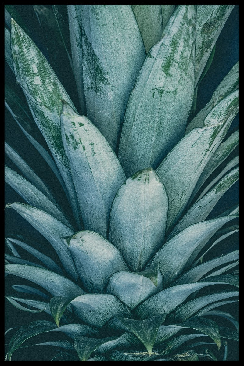 Ananas krona poster