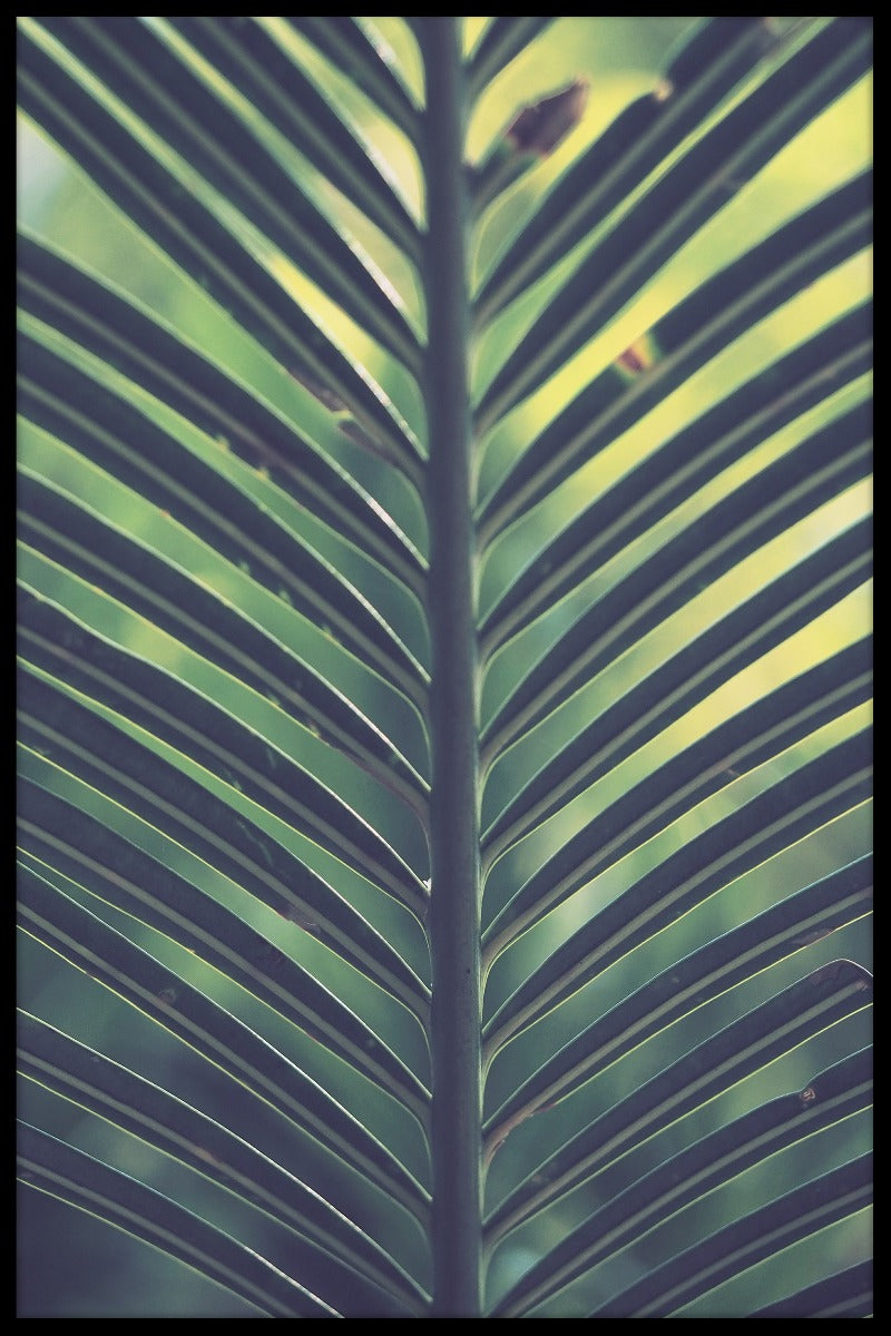 Palmblad grön gul poster
