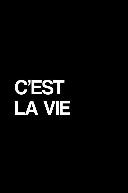 Cest La Vie poster