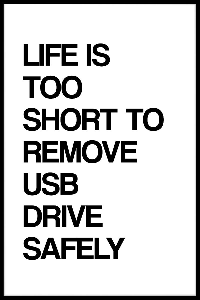 Livet är för kort för att ta bort USB säkert N02-poster