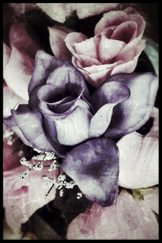 Rose poster