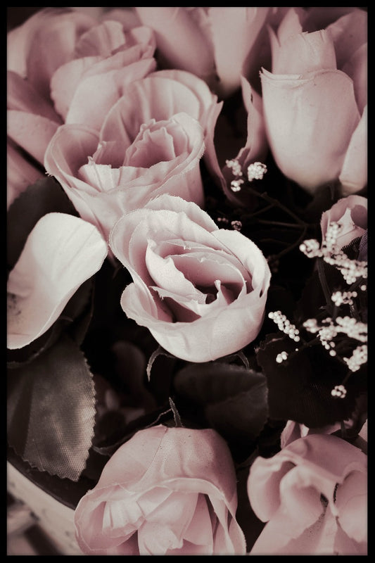 Rose N02 poster