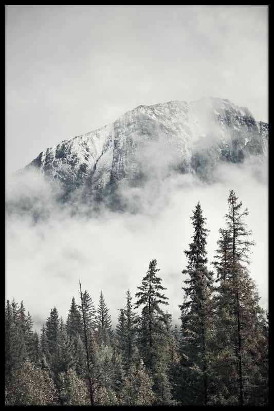 Banff Park poster