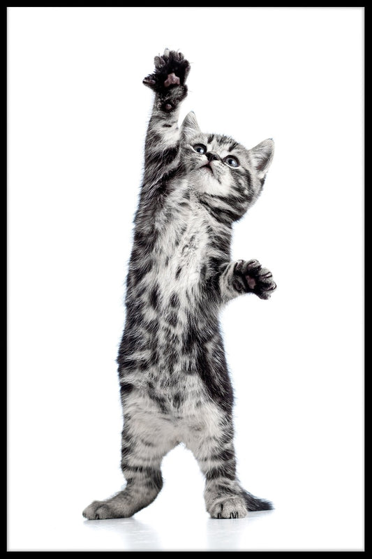 Lekfull kattungeposter