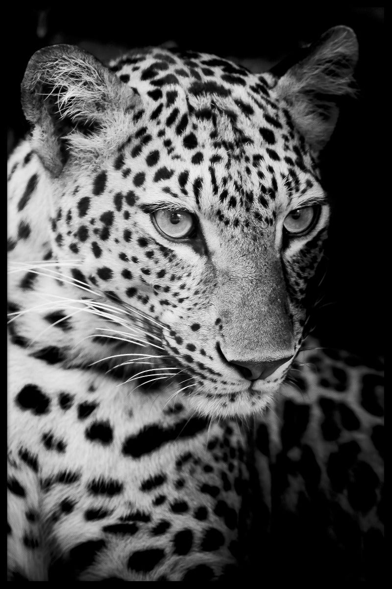 Leopard N02 poster