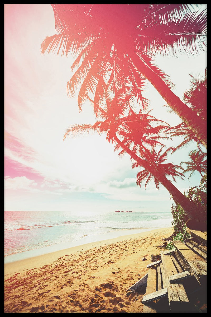 Strand palmträd poster