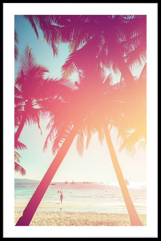 Strandpalm N02 poster