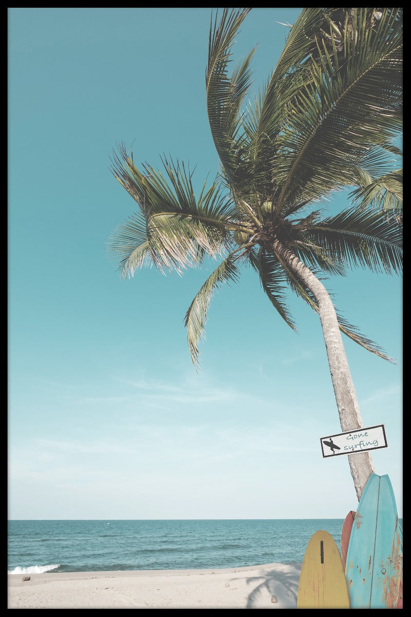 Surf Beach Palm poster