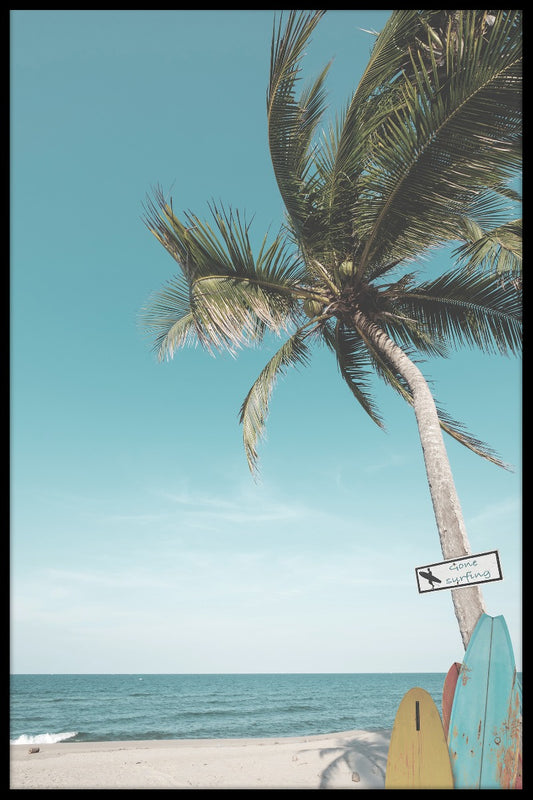 Surf Beach Palm poster