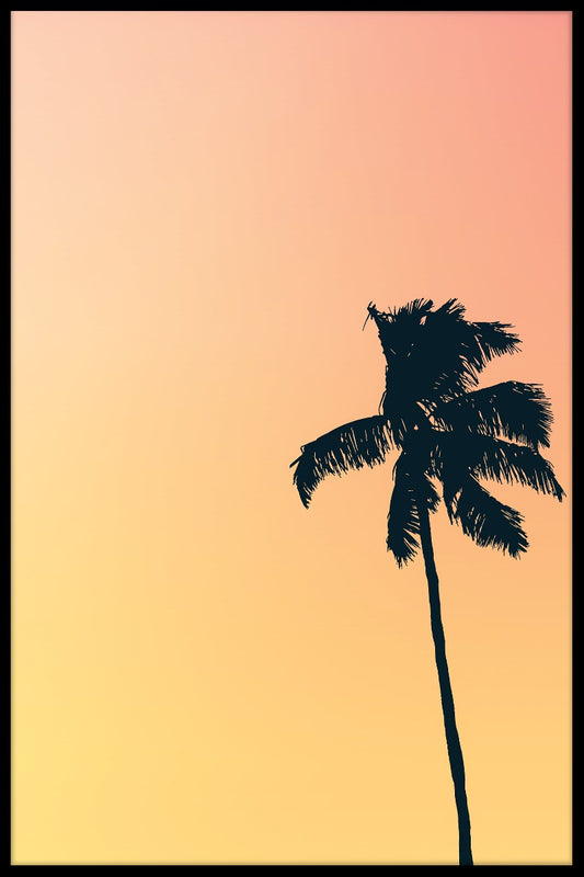 Retro solnedgång palm poster