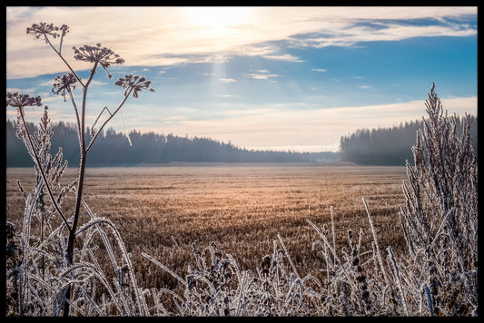 Frostigt landskap Finland poster