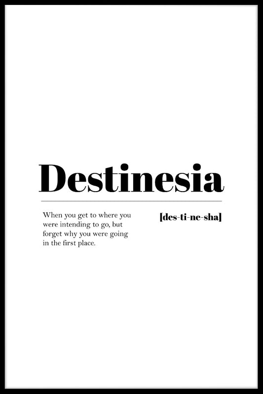Destinesia poster