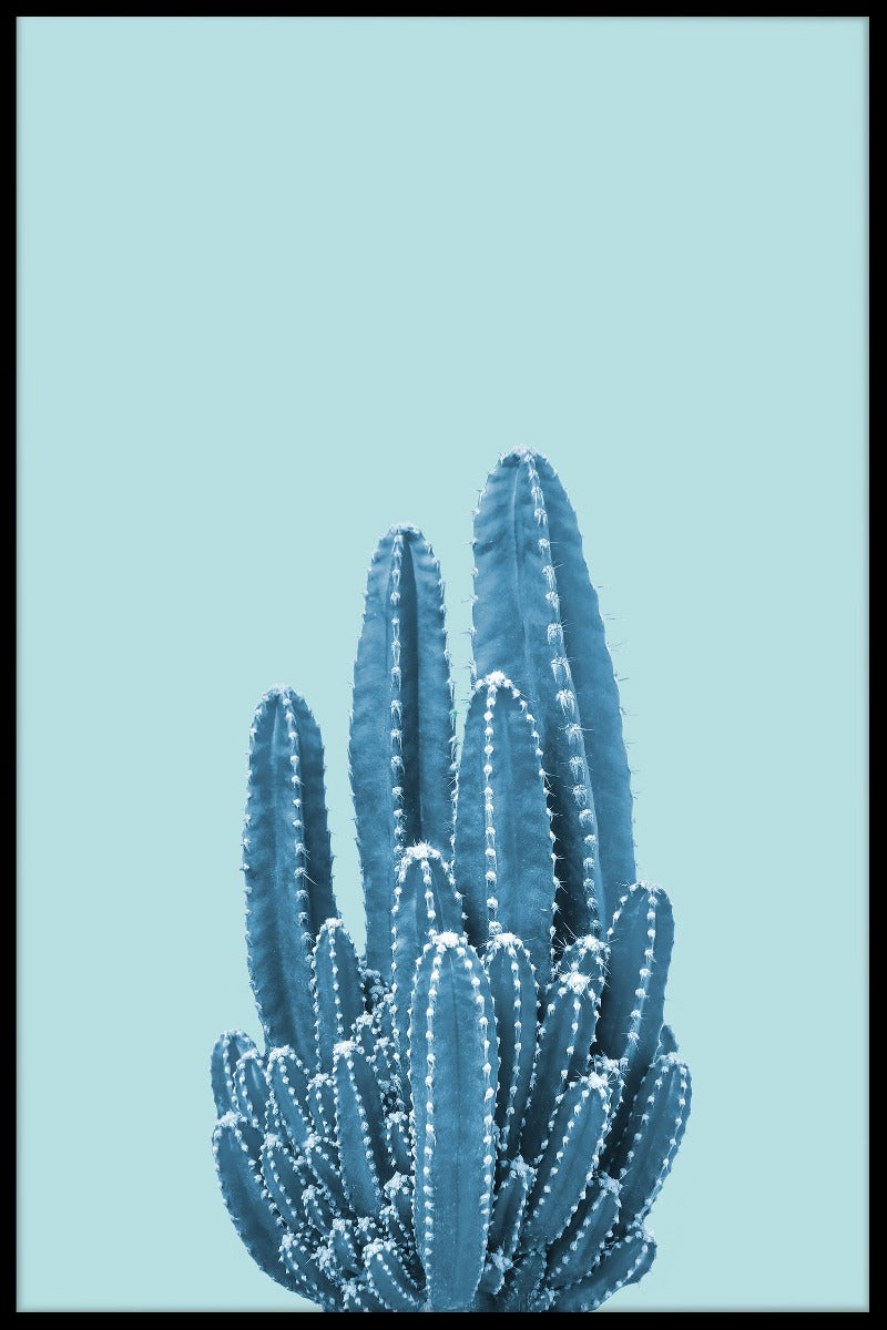 Kaktus På Blå poster