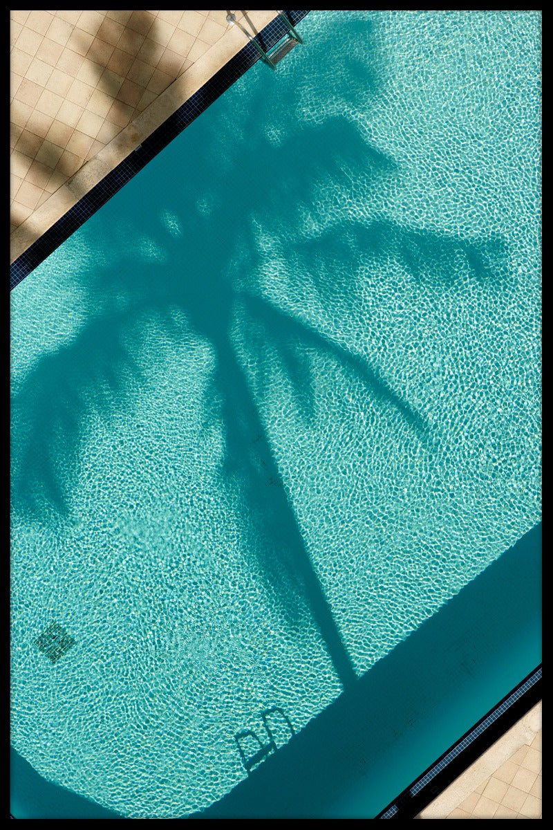 Palm Shadow poster