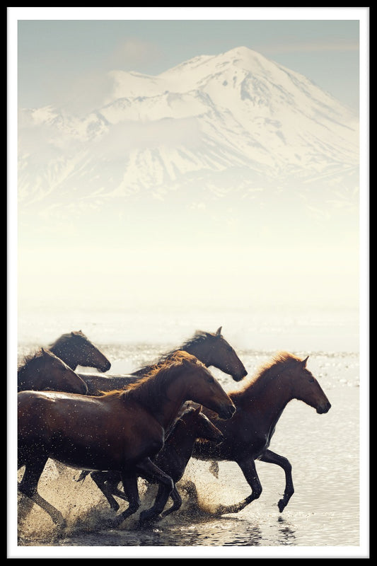 Wild Horses N02 poster