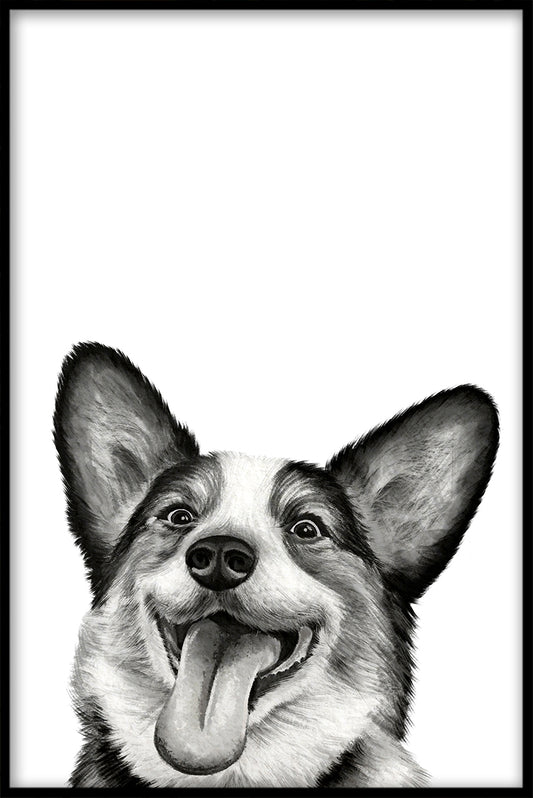 Corgi poster