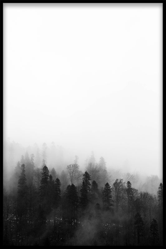 poster Misty Forest N02