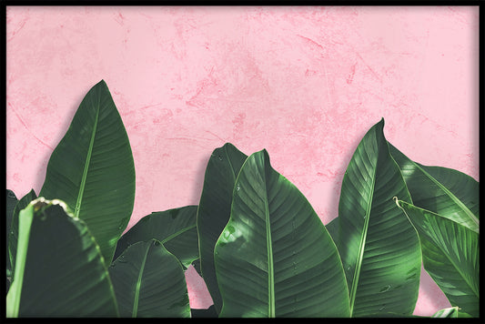 Bananblad N02 poster