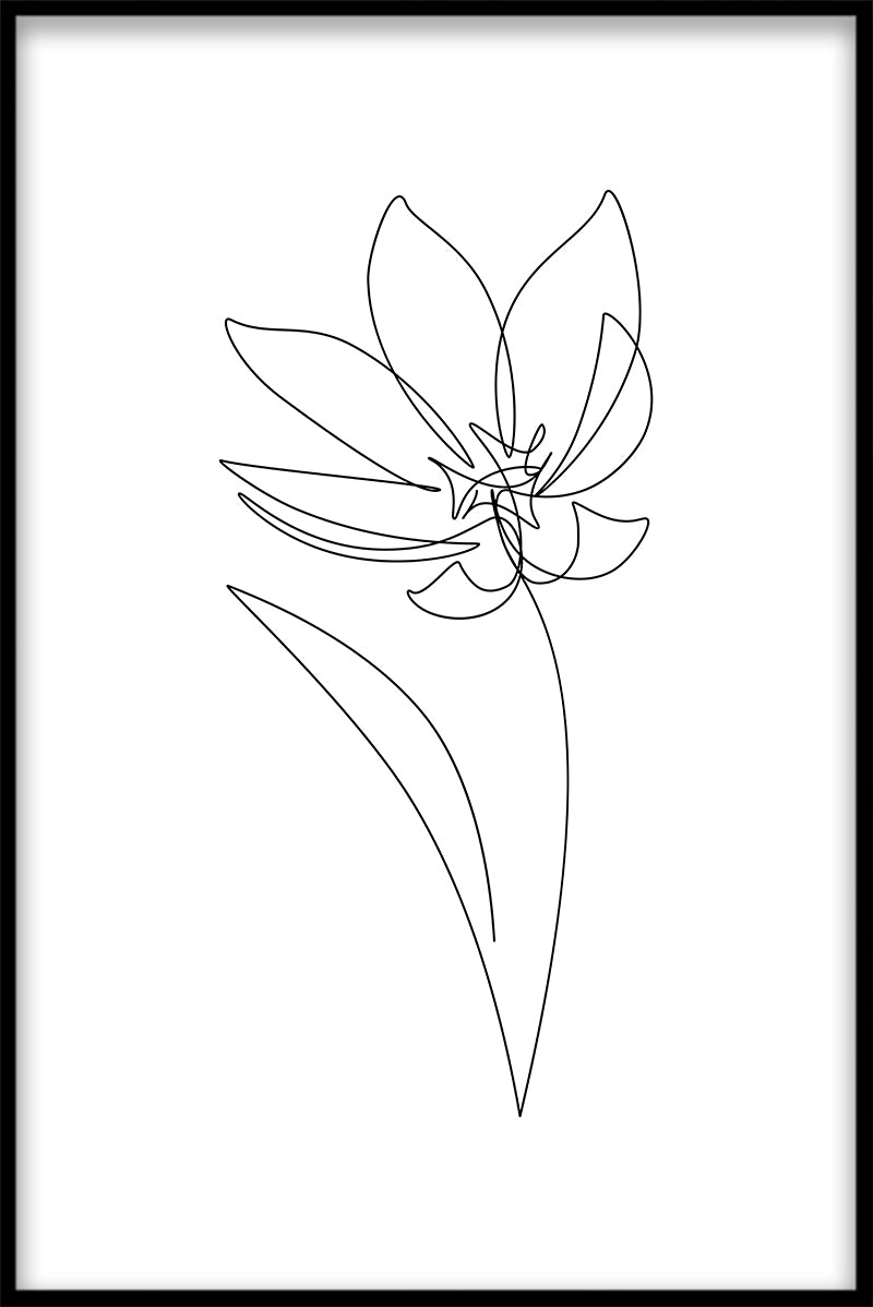 Line Art Blomma poster