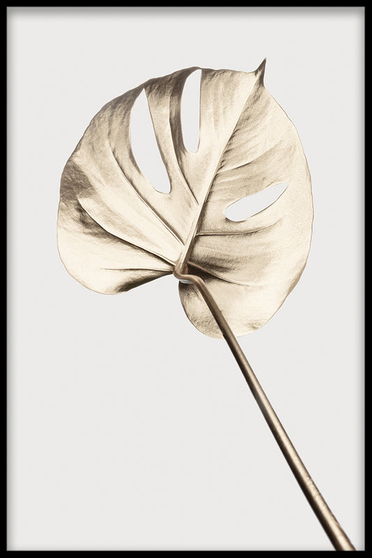 Guld Monstera poster