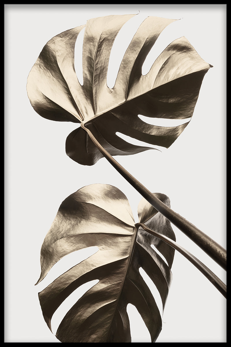 Guld Monstera N02 Poster-s