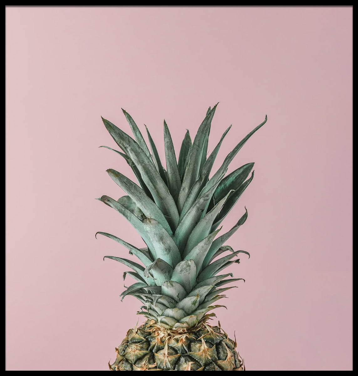 Mogen ananas rosa bakgrund poster