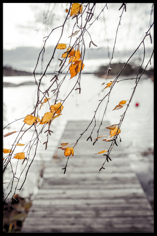 Höstens skärgårdsposter